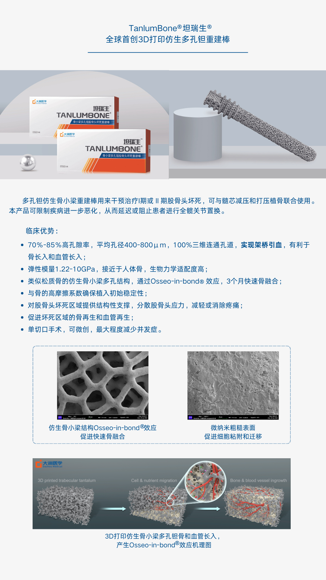 大洲醫學-多孔鉭重建棒宣傳彩頁2024.png